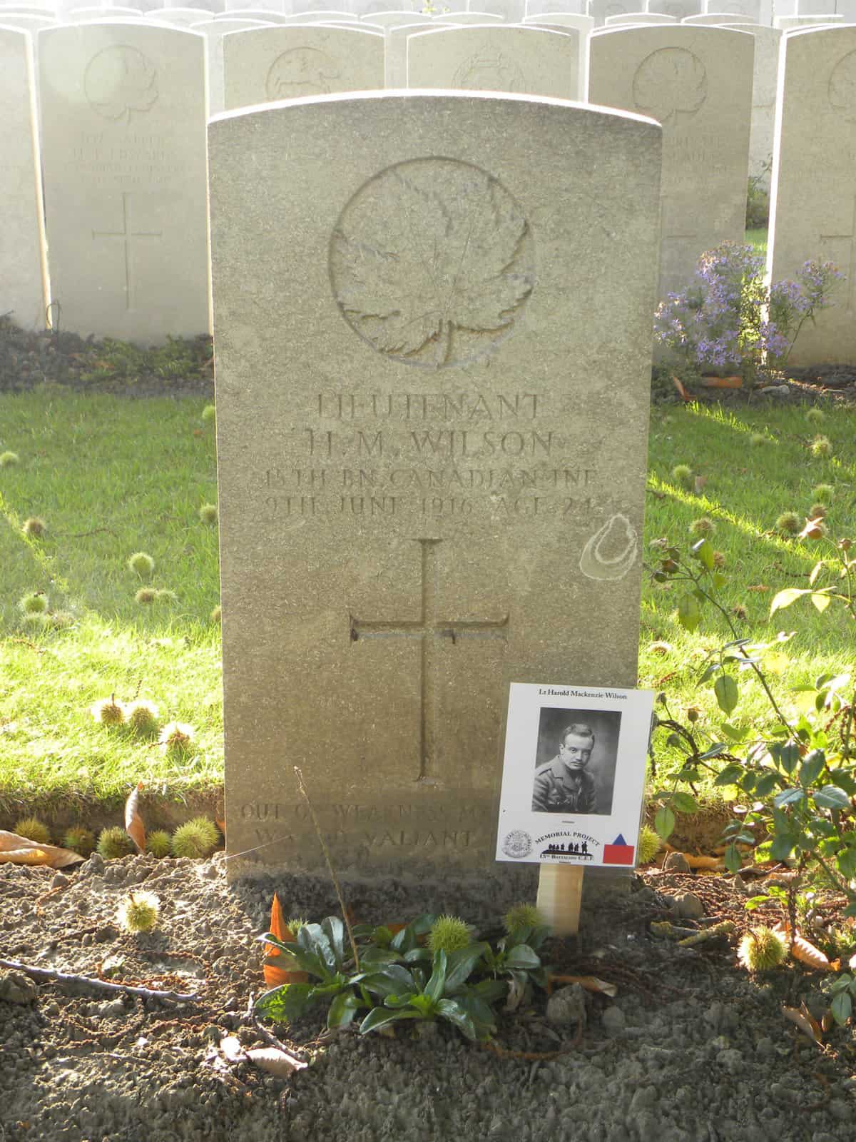 lieutenant harold wilson lijssenthoek military cemetery