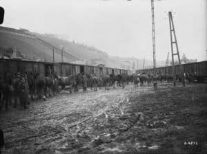 Canadian horses being disposed at Huy, Belgium. 1919