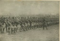 Bn
parading on Salisbury plain.