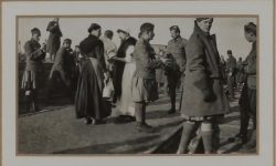 Photograph
for newspaper article in 30l.