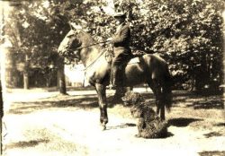 Lt Col Bent with the two 15th Battalion
wartime mascots Fritz (horse captured at The Crow’s Nestin Sept
1918) and Bruno (Belgian sheepdog adopted ny LtCol Marshall at Ploegstreet,
Belgium in 1915).
Undated photo taken on the Bent family farm in Paradise Nova Scotia. Both
animals were buried
there on their deaths.