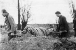 LCol Marshal being carried out of the line on a stretcher just after being killed by a sniper 1916.