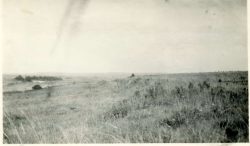 Death Valley taken from above Courcelette Cemetery.
Undated.