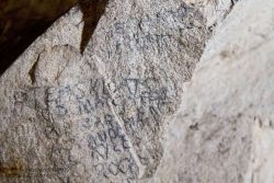 Inscription
Private Edward Skeates, 134th – 15th Battalion, No
Company